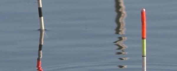 浮漂慢慢黑漂是什么鱼？详细介绍