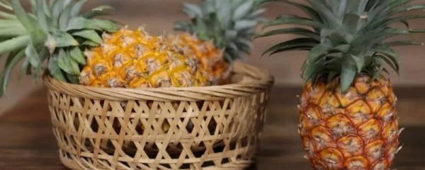 凤梨和菠萝的区别，附菠萝和凤梨的营养价值