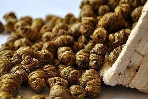 新鲜石斛怎么泡水喝，正确的泡法和注意事项