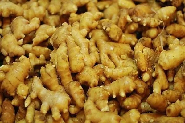生姜的种植，高产种植技巧分享