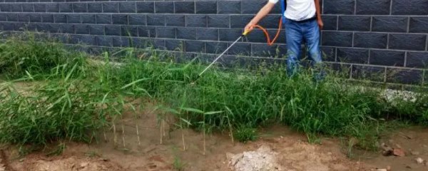 敌草快除草剂使用方法