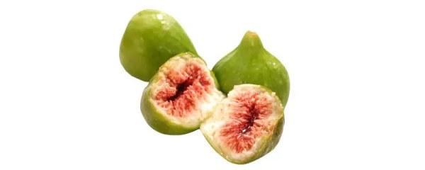 无花果怎么栽培活得快，有哪些技巧和注意事项