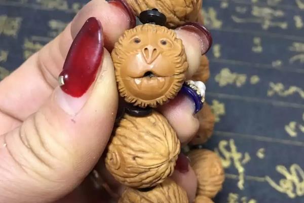 猴头是什么植物的种子