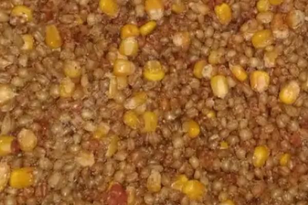 小麦窝料配方和制作方法