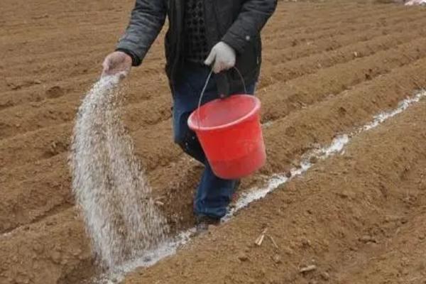 怎么改良酸性土壤，使用农家肥、使用石灰可以起到改良效果