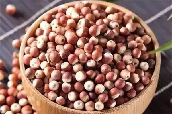 芡实长得什么样，是什么植物