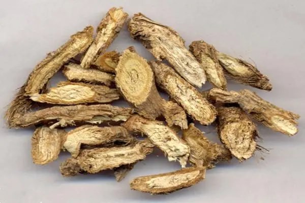 防风种植技术，亩产收益