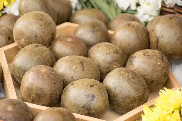 罗汉果怎么种，罗汉果种植技术及病虫害防治措施