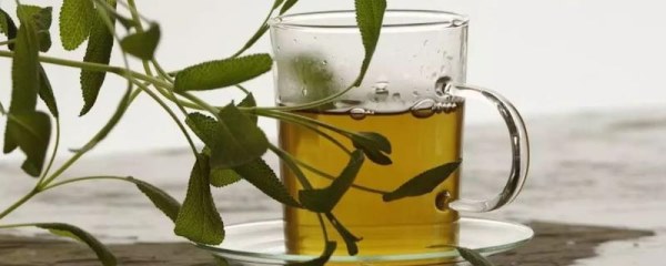 茶叶水可以浇花吗，发酵后浇花效果好