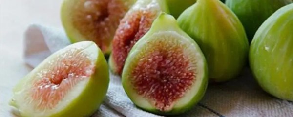 无花果的栽培方法，解析无花果的管理技巧