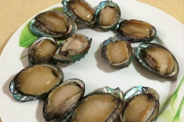 活鲍鱼怎么存放2-3天