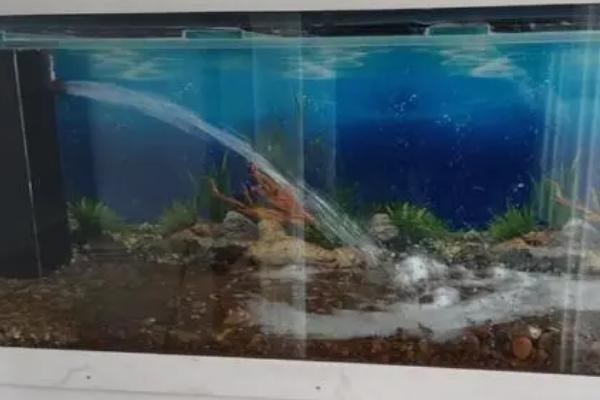 鱼缸水少了怎么加水，自来水必须要晾晒后再使用
