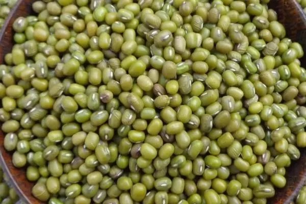 绿豆株距多少合适，掌握最佳种植密度