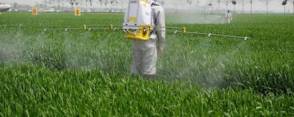 肟菌戊唑醇如何使用，附基本介绍与使用注意事项