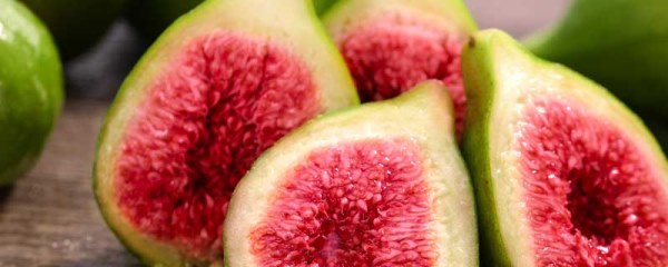 无花果什么时候栽最好，种植技巧与养护方法
