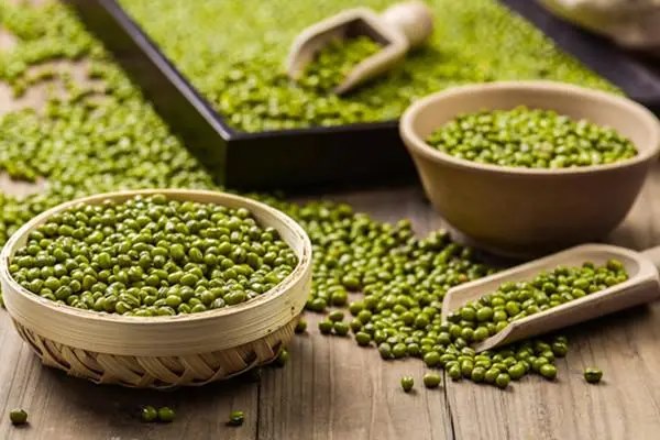 绿豆需要煮开花吗，煮绿豆的正确方法