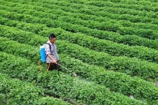精喹禾灵可以使用范围，附