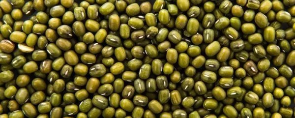 绿豆可以和薏仁一起煮粥吗，营养价值如何提升