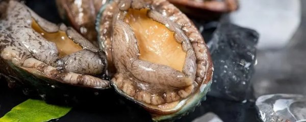 活鲍鱼放冰箱能活多少天，正确的保存方式