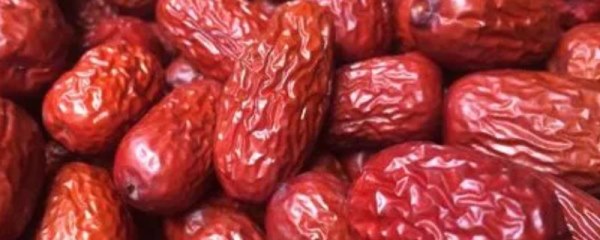 红枣盛夏管理要点，注意排水灌水