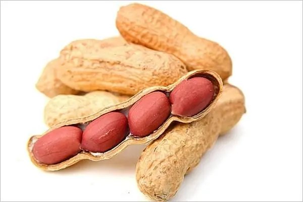 花生黄叶是什么原因，如何识别并治疗